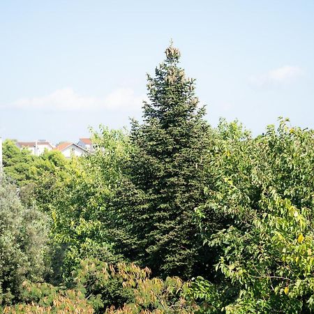 וודיצה Apartments Centar מראה חיצוני תמונה