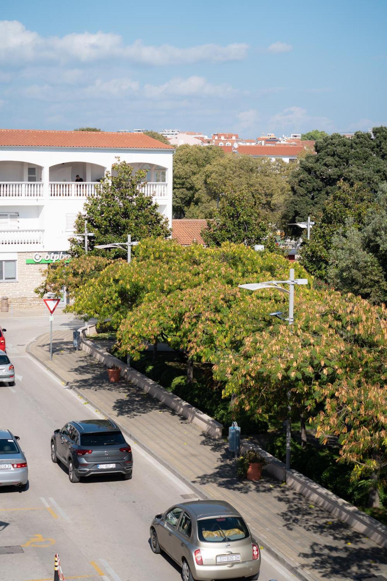 וודיצה Apartments Centar מראה חיצוני תמונה