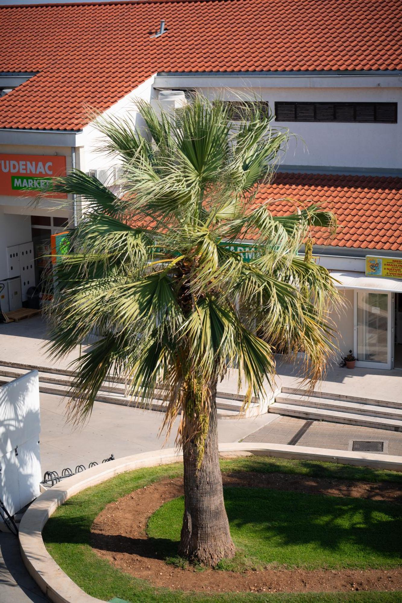 וודיצה Apartments Centar מראה חיצוני תמונה