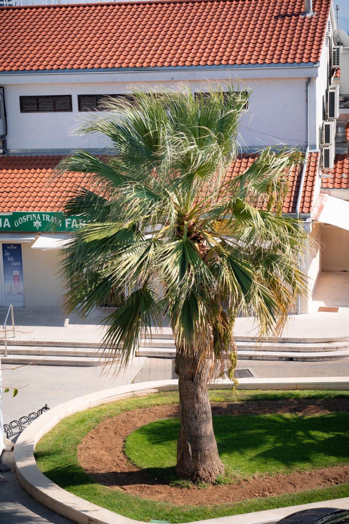 וודיצה Apartments Centar מראה חיצוני תמונה